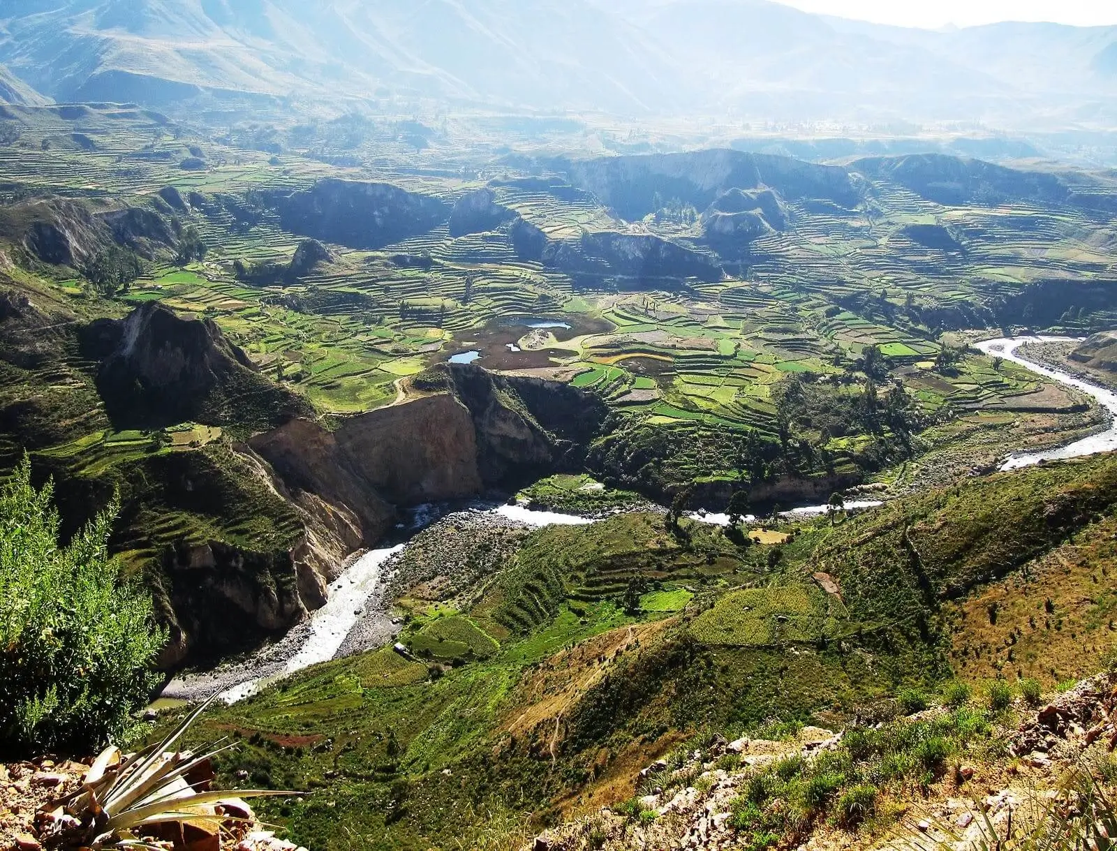 colca canyon peru